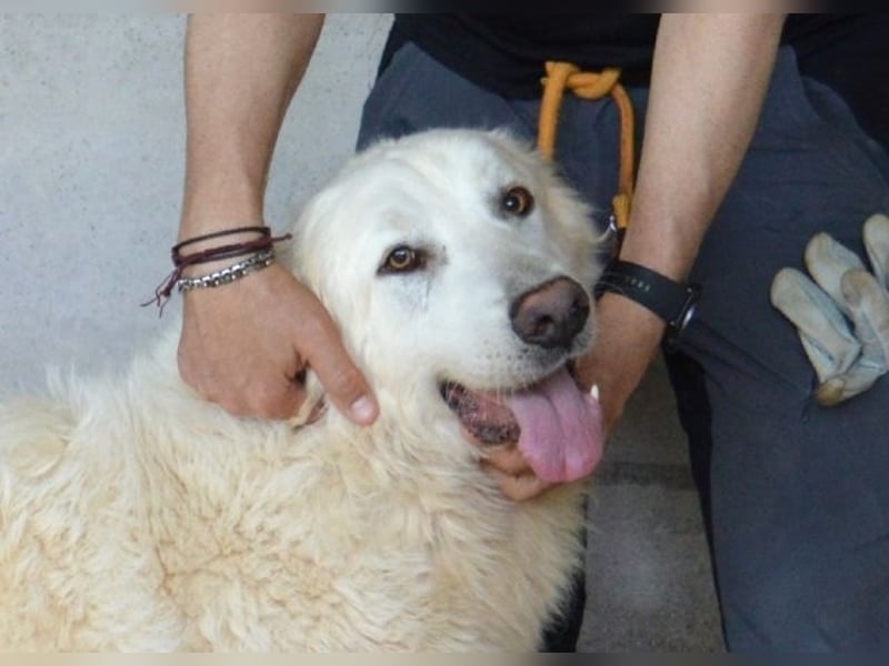 Quebry - Es ist, was es ist...