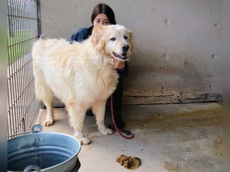 Skilah - Wenn Niemand zu Jemand wird
