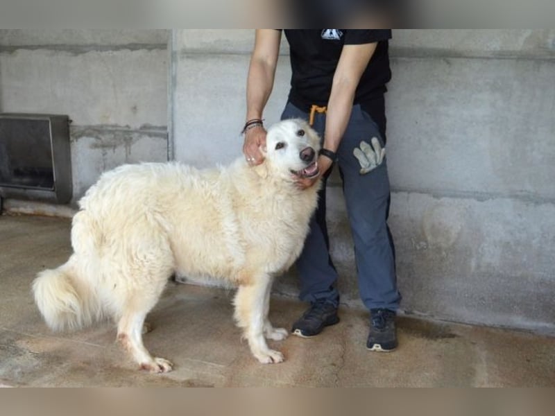 Quebry - Es ist, was es ist...