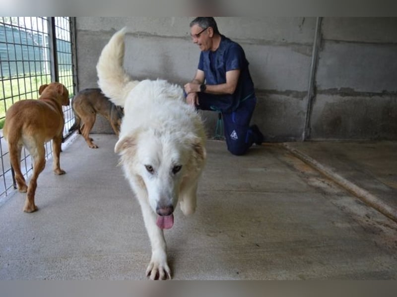 Quebry - Es ist, was es ist...