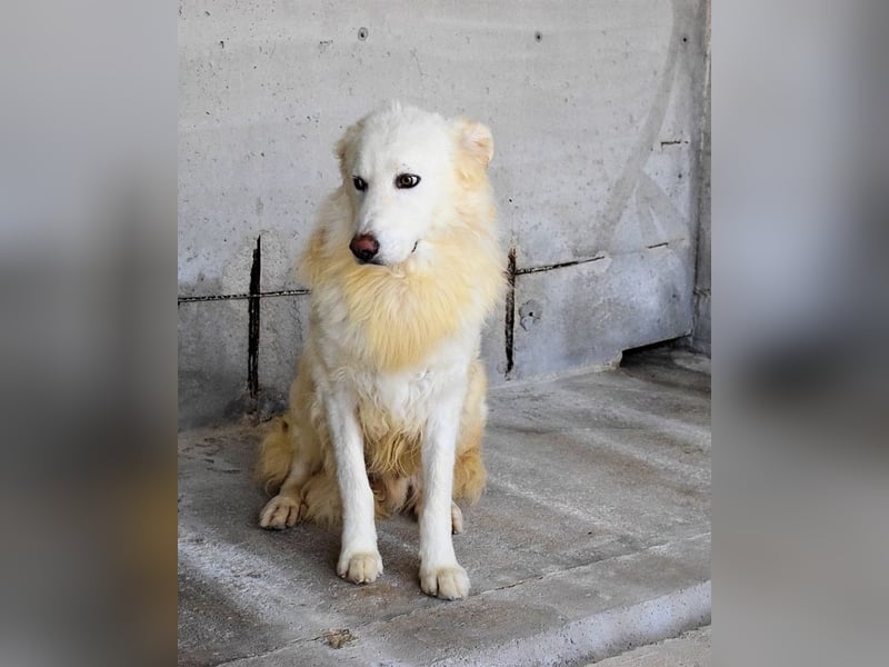 Fredrik - Für immer zusammen?