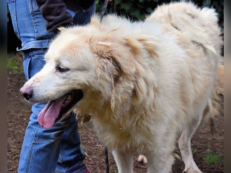 Eluard - Hoffnung auf echte Freundschaft!