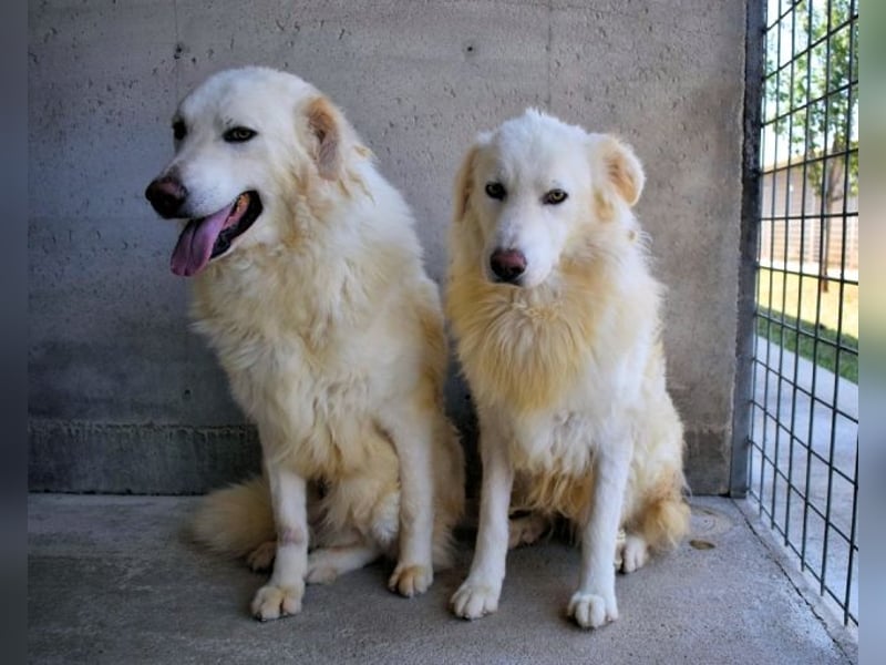 Fredrik - Was nach der Trennung kommt