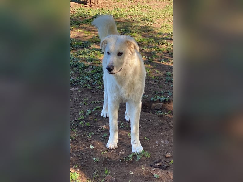 Madea - in ihrer ganzen Schönheit