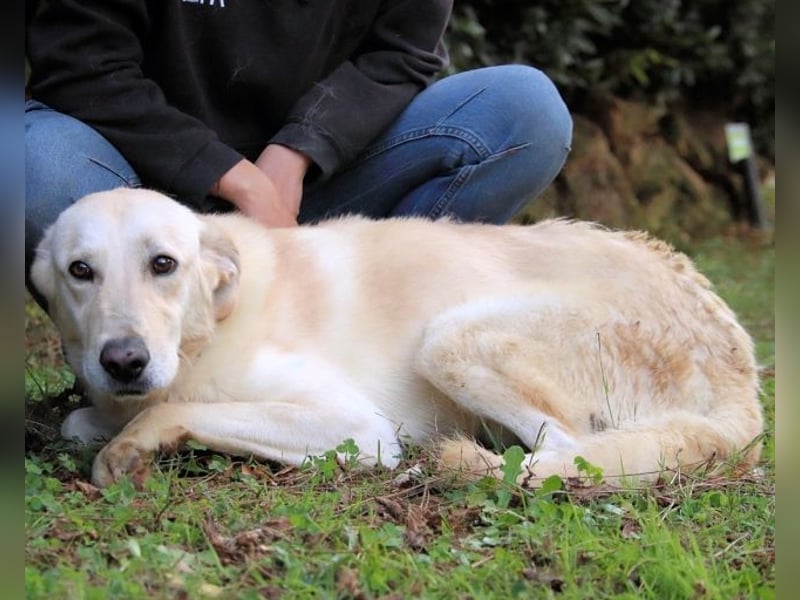 Yannick - eine zweite Kindheit?