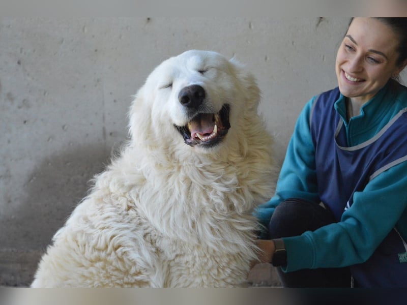 Leverett - Ich sehe was, was du (noch) nicht siehst!