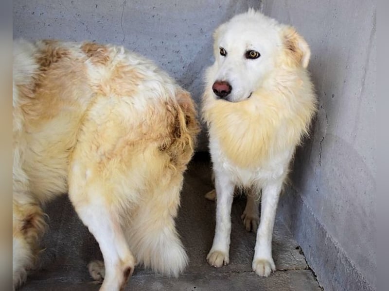Fredrik - Was nach der Trennung kommt
