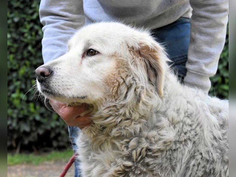 Gorivah - Das Leben ist zu kurz...