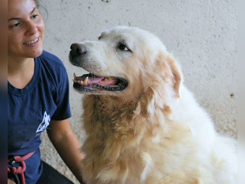 Eskie - aber bitte mit Sahne ins Glück!