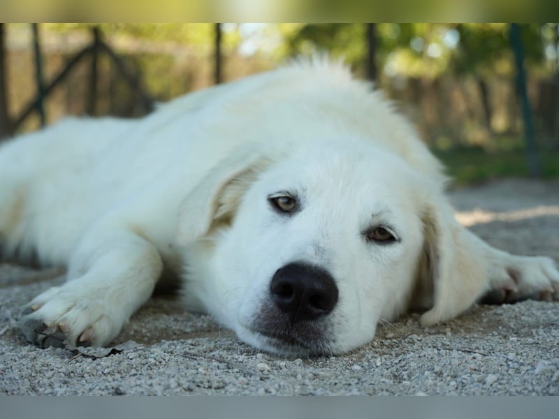 Madea - in ihrer ganzen Schönheit