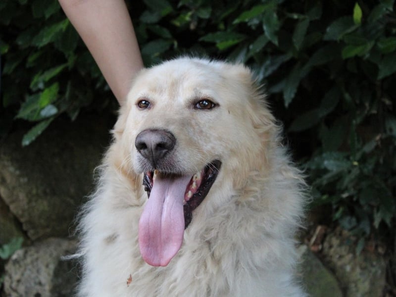 Paolo - Oh, huch, wow!!!