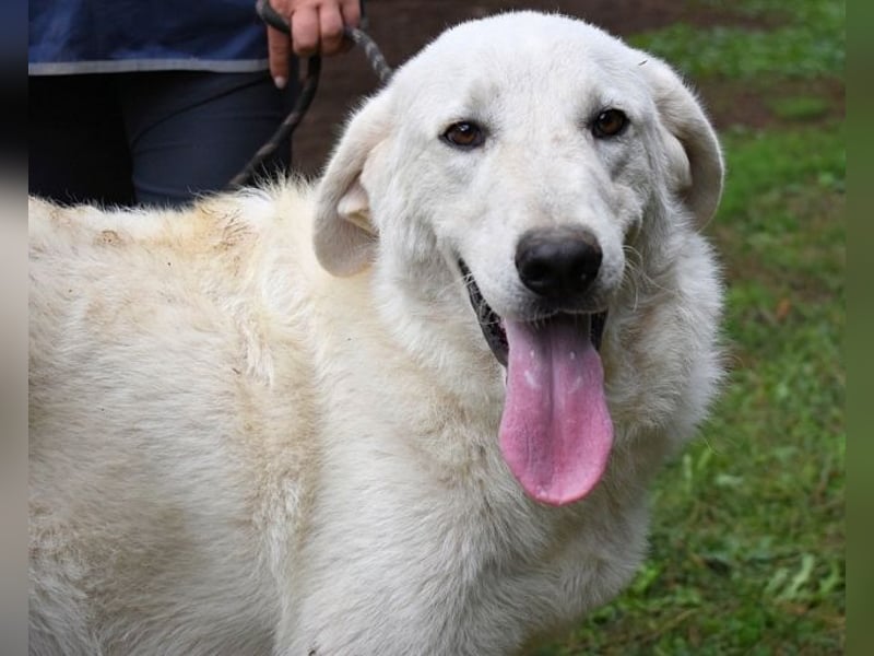 Dayton - niemals ist eine schrecklich lange Zeit