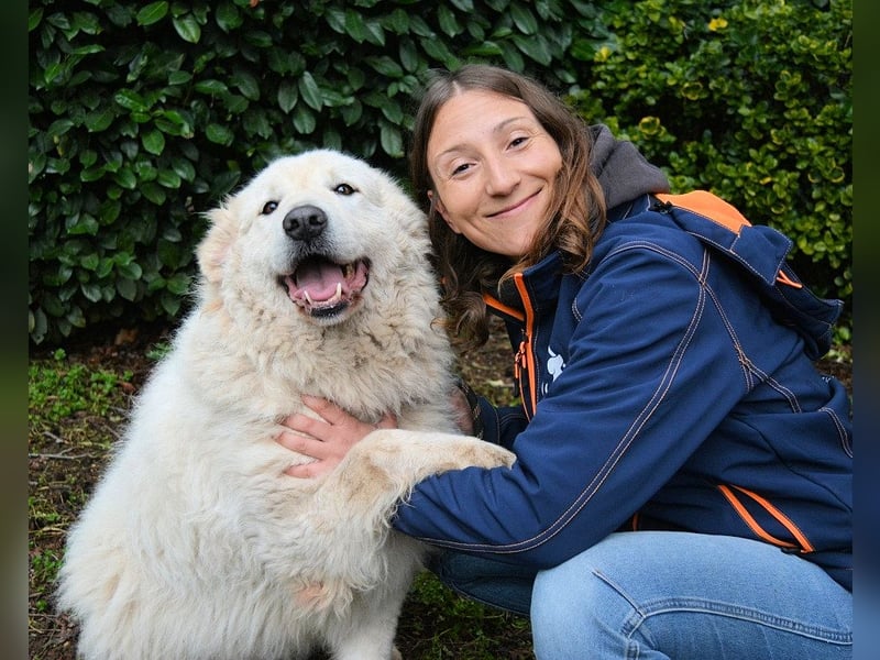 Tallulah - Grandezza auf vier Pfoten!