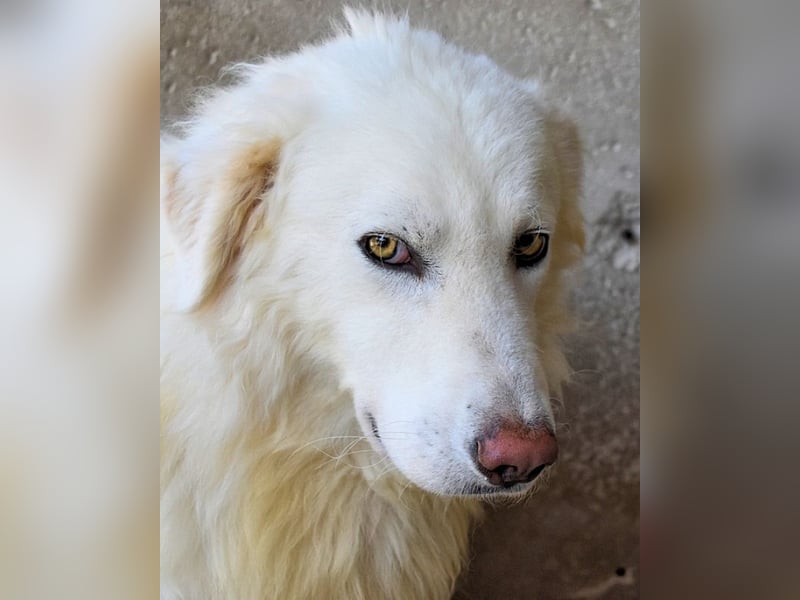 Fredrik - Für immer zusammen?