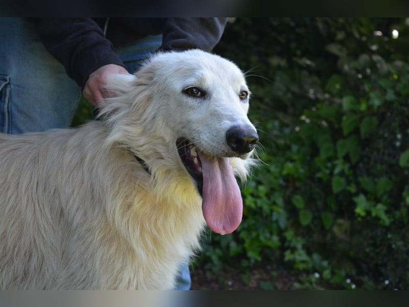 Isana - Wo ist mein neues Leben?