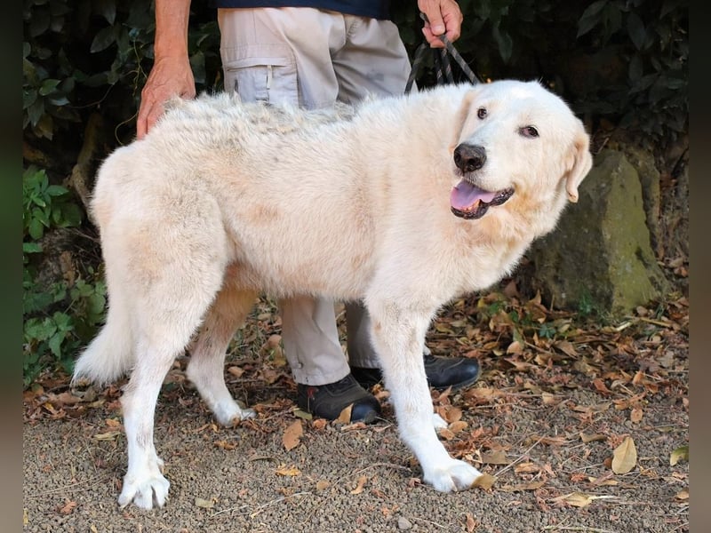 Makeen - es ist die Ohnmacht.....