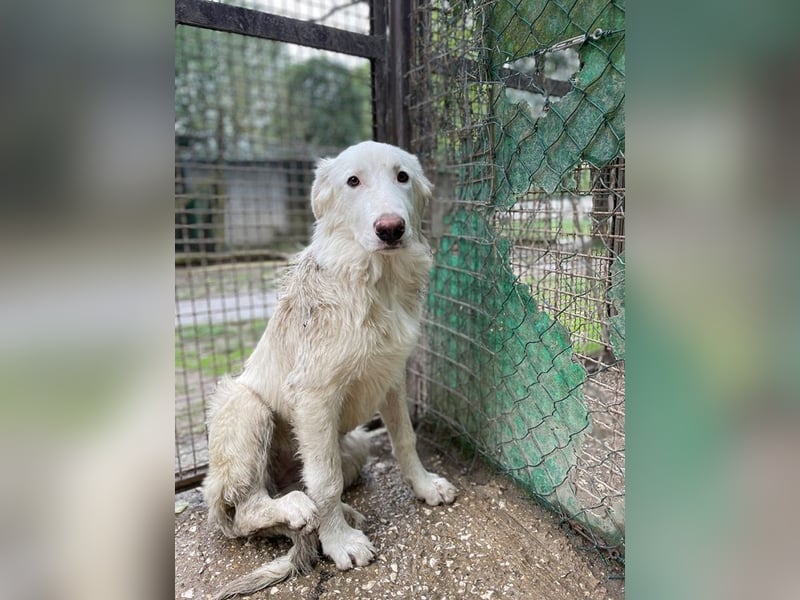 Stardust - Von der Erde zum Mond und zurück....