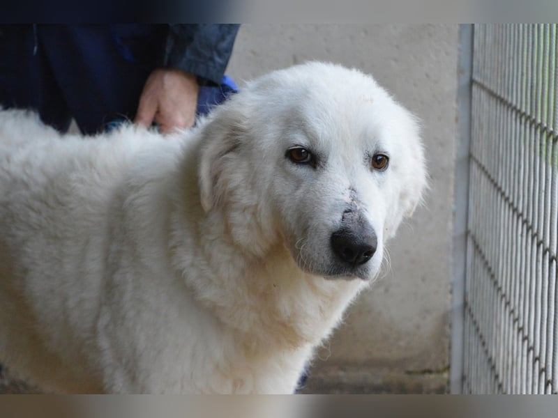 Rosvielle - Auf einer Skala von 1 bis 10....