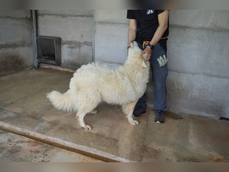 Quebry - Es ist, was es ist...