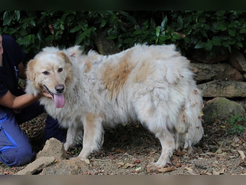 Paolo - Oh, huch, wow!!!