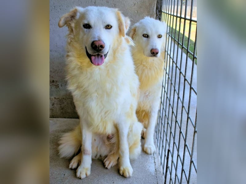 Fredrik - Für immer zusammen?