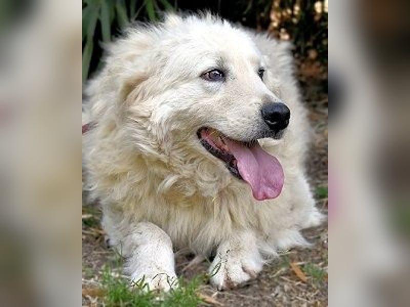 Archimede - sucht freundliche Aufnahme