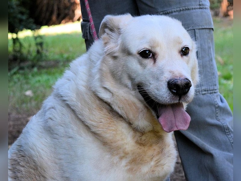 Zipper - Ein vergeudetes Leben