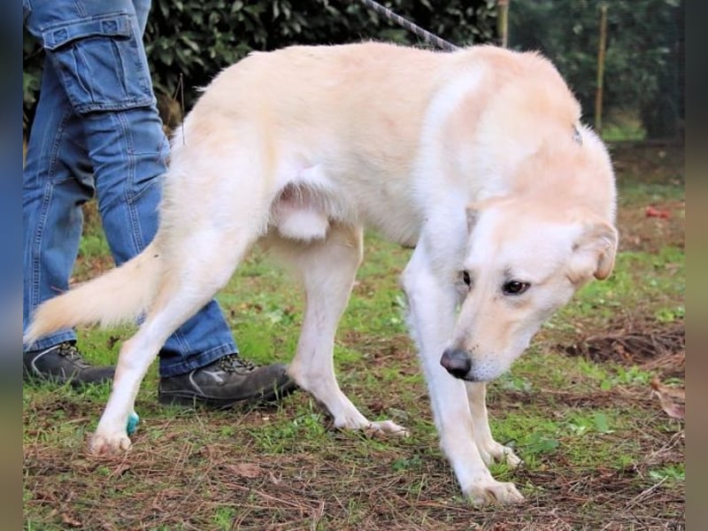 Yannick - eine zweite Kindheit?
