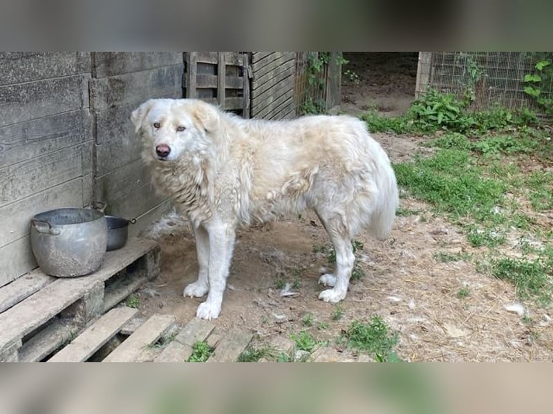 Sindbad - Zwischen Vorsicht und Vertrauen