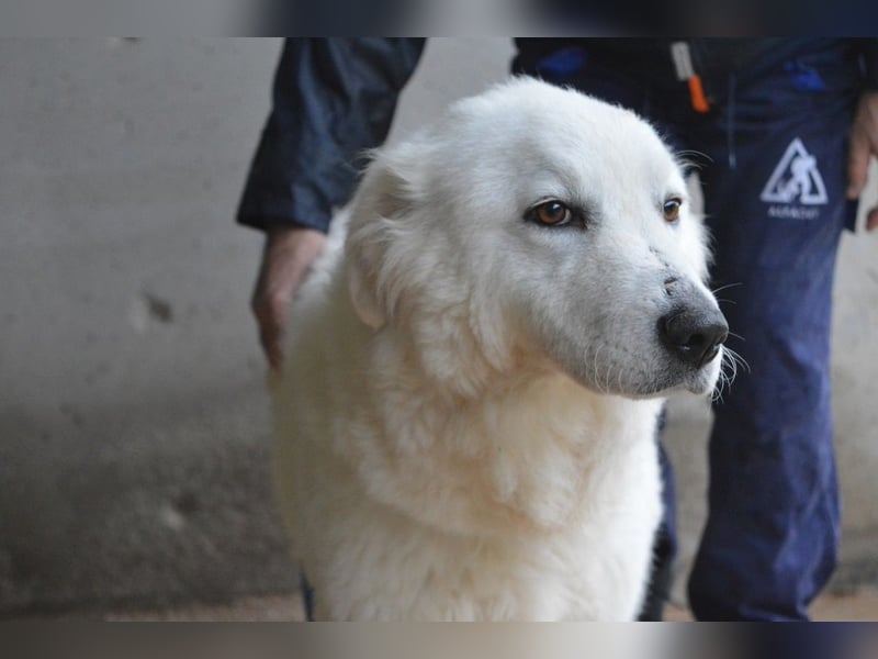Rosvielle - Auf einer Skala von 1 bis 10....
