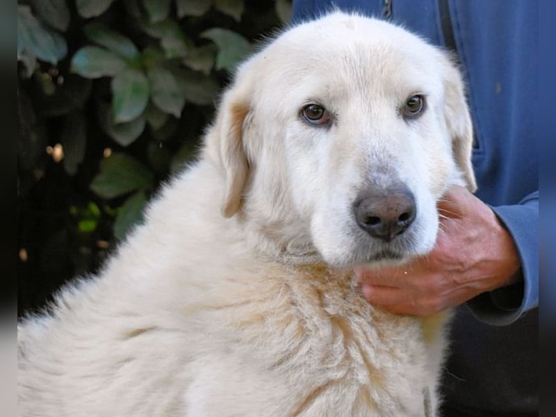 Makeen - es ist die Ohnmacht.....