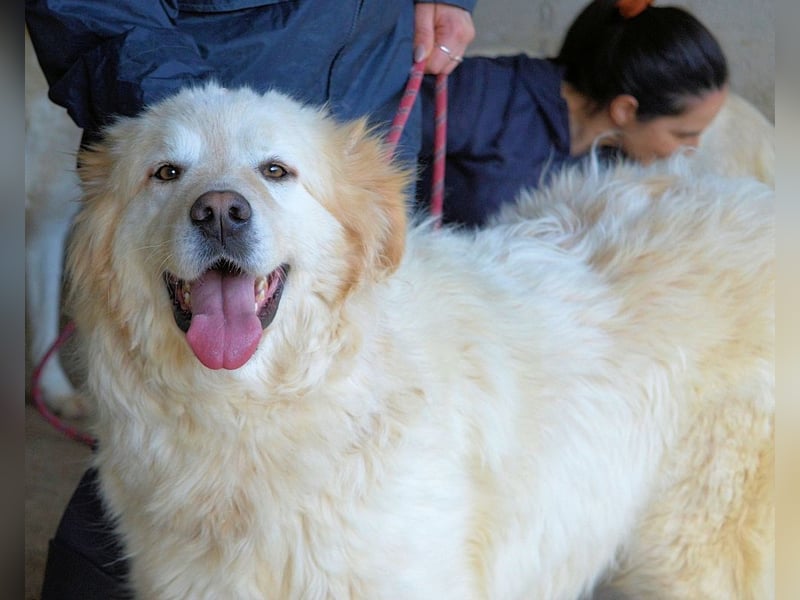 Skilah - Wenn Niemand zu Jemand wird