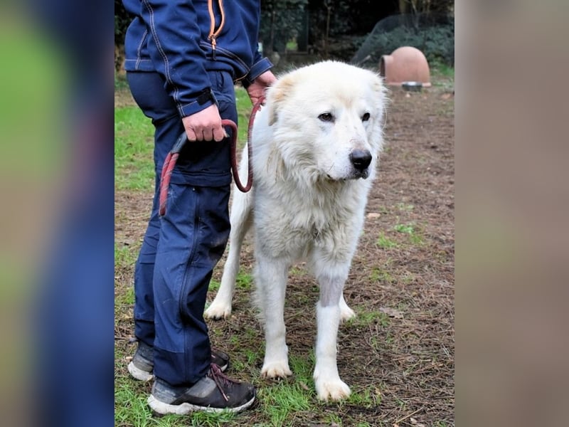 Apolonio - möchte für seine Menschen ein Fels in der Brandung sein