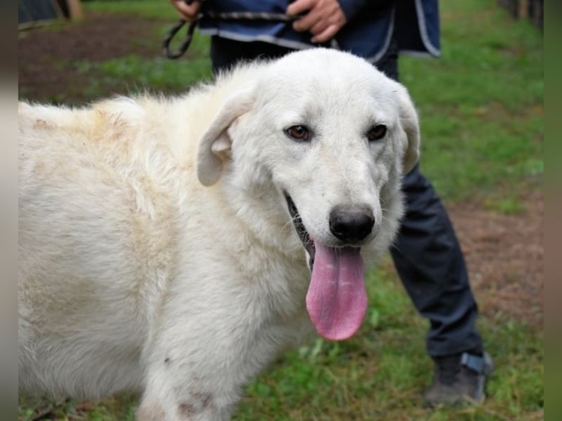 Dayton - niemals ist eine schrecklich lange Zeit