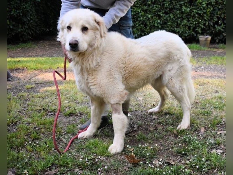 Quilmar - Was werden sie erzählen?