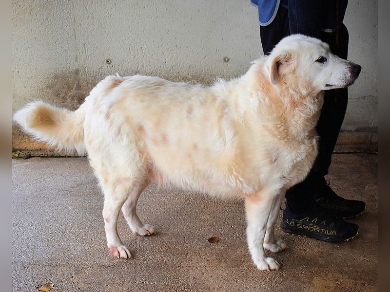 Sallustio - Der Sinn des Lebens