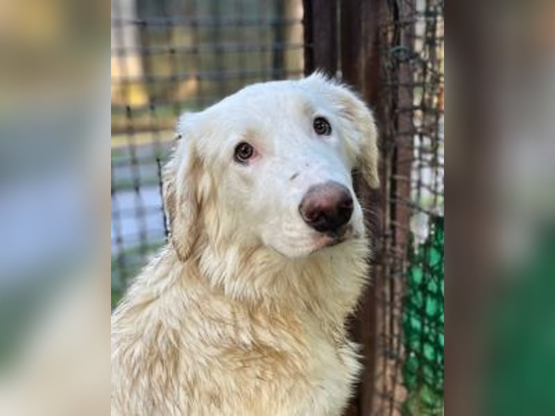 Stardust - Von der Erde zum Mond und zurück....