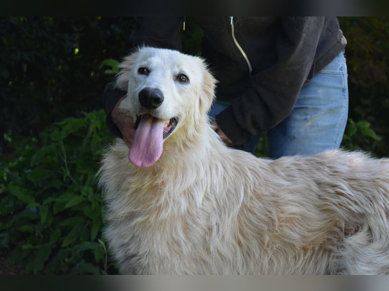 Isana - Wo ist mein neues Leben?