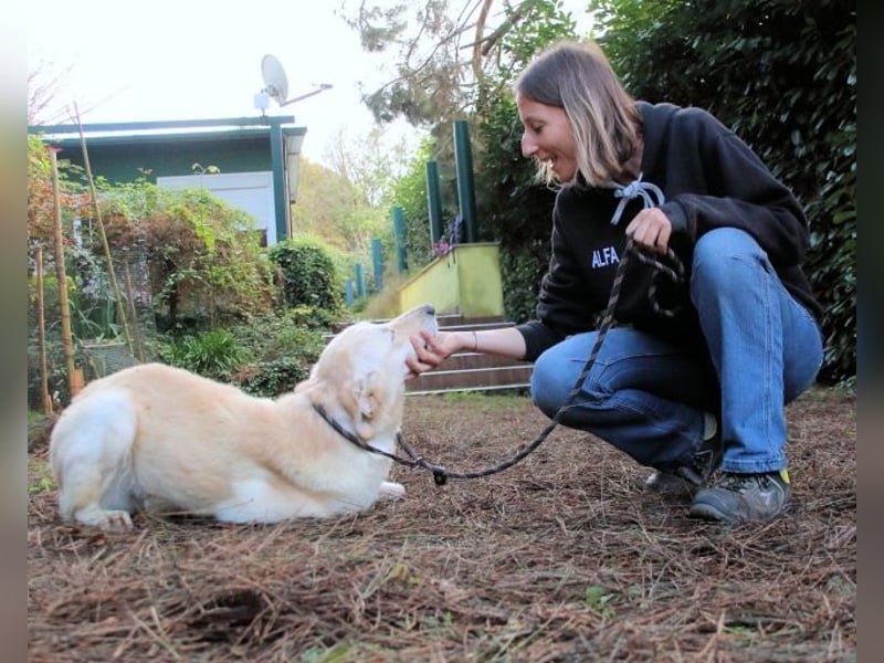 Yannick - eine zweite Kindheit?