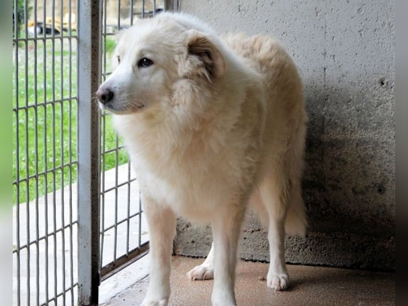 Olivielle- Junge Dame im Bärenmantel