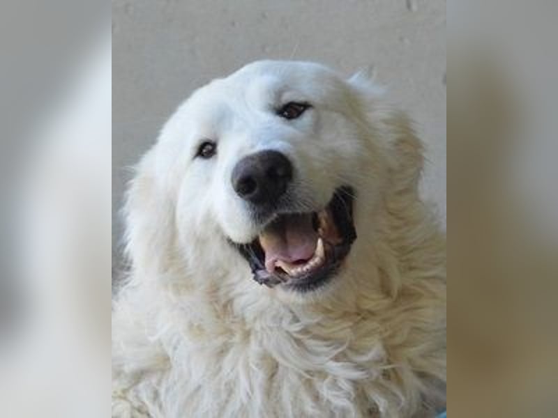 Leverett - Ich sehe was, was du (noch) nicht siehst!