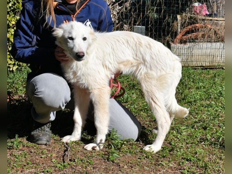 Heathon - sucht die Liebe seines Lebens