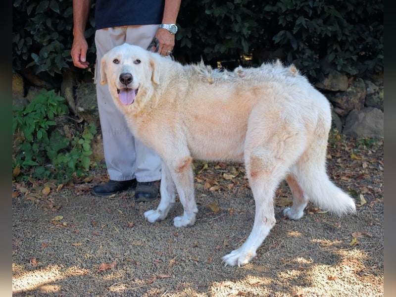 Makeen - es ist die Ohnmacht.....