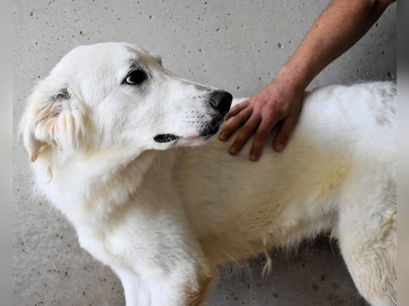 Hadrianus - weiß, es wird einmal ein Wunder gescheh'n