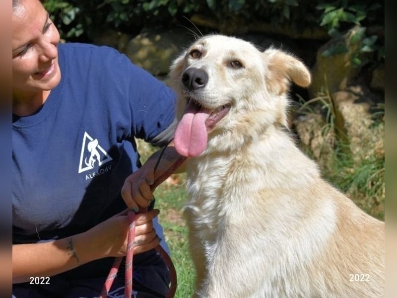 Antiloco - Nur ein Wunsch: endlich nach Hause!