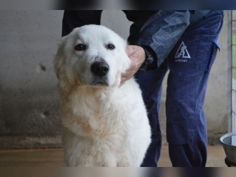 Rosvielle - Auf einer Skala von 1 bis 10....