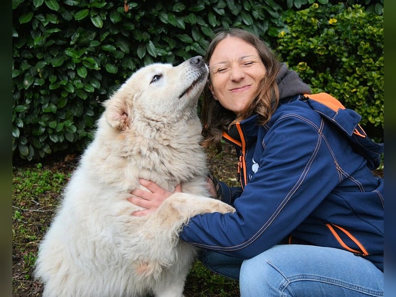 Tallulah - Grandezza auf vier Pfoten!