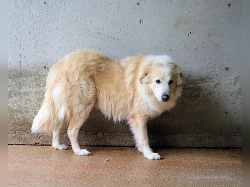 Olivielle- Junge Dame im Bärenmantel