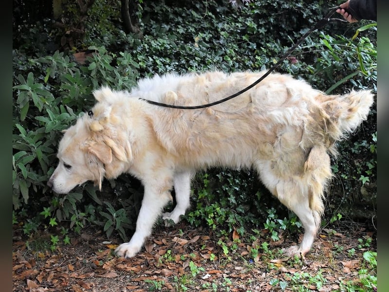 Eluard - Hoffnung auf echte Freundschaft!