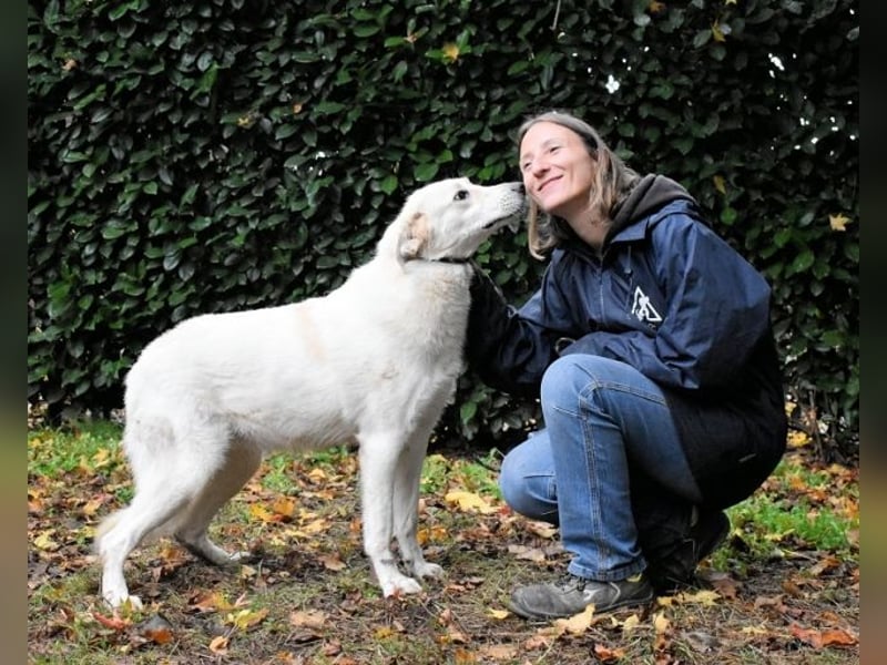Yasmine - freundlicher Sonnenschein sucht sonniges Plätzchen